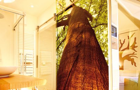 hotel-nieder-hotel-zimmer-sauerland-ambiente-smart-005